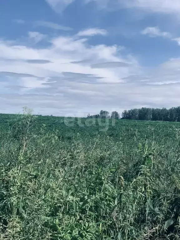 Участок в Свердловская область, Сысертский муниципальный округ, СНТ ... - Фото 0