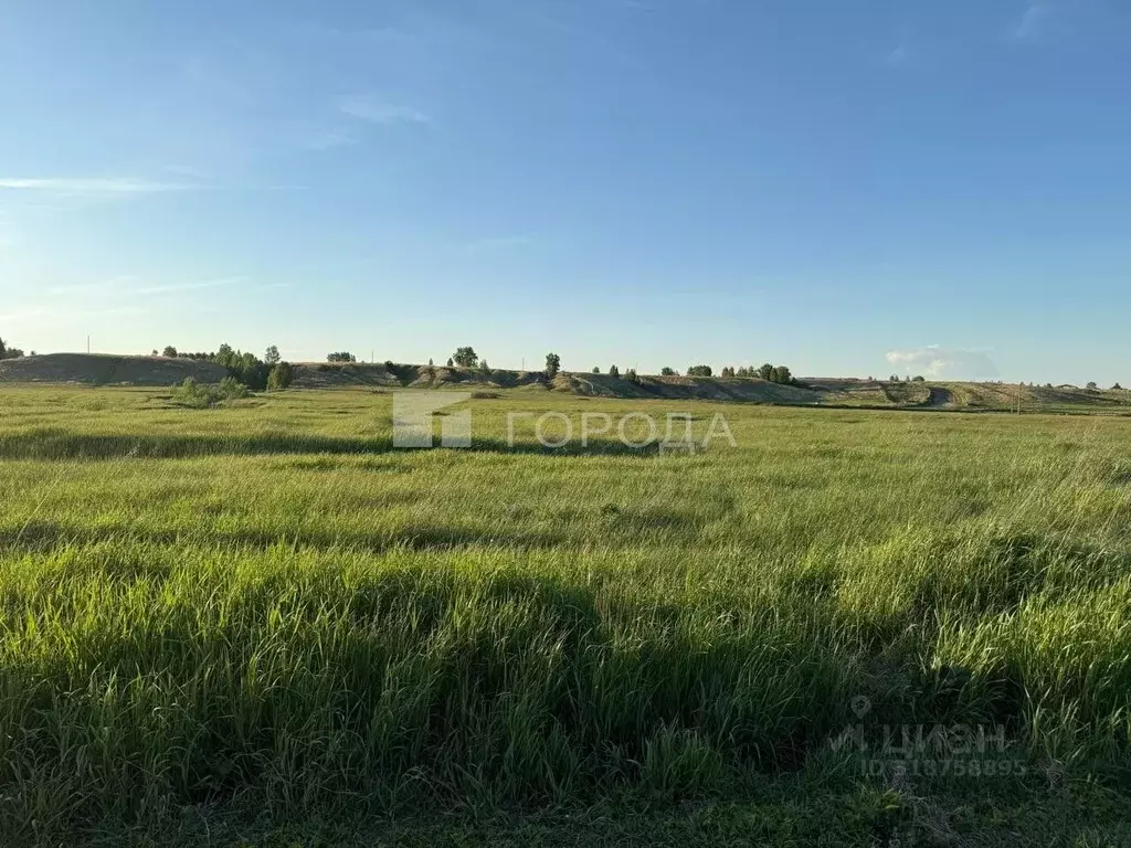 Участок в Новосибирская область, Ордынский район, с. Вагайцево ул. ... - Фото 0