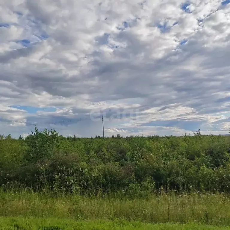 Участок в Амурская область, Благовещенский район, Станичное тер.  (8.6 ... - Фото 1