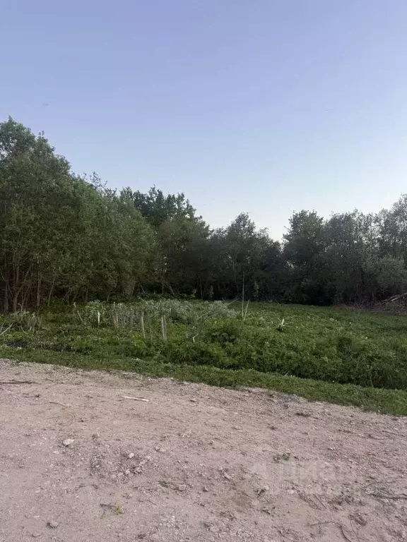 Участок в Московская область, Клин городской округ, д. Горки  (10.2 ... - Фото 2