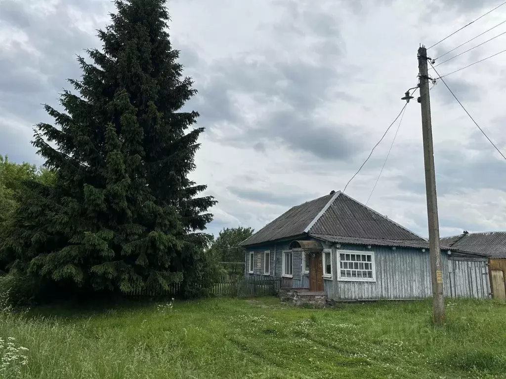 Участок в Брянская область, Карачевское городское поселение, с. Одрина ... - Фото 1