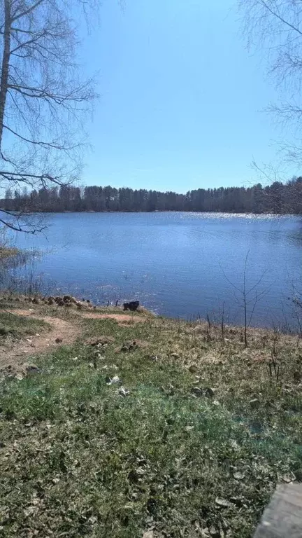 Участок в Новгородская область, Демянский муниципальный округ, д. ... - Фото 1