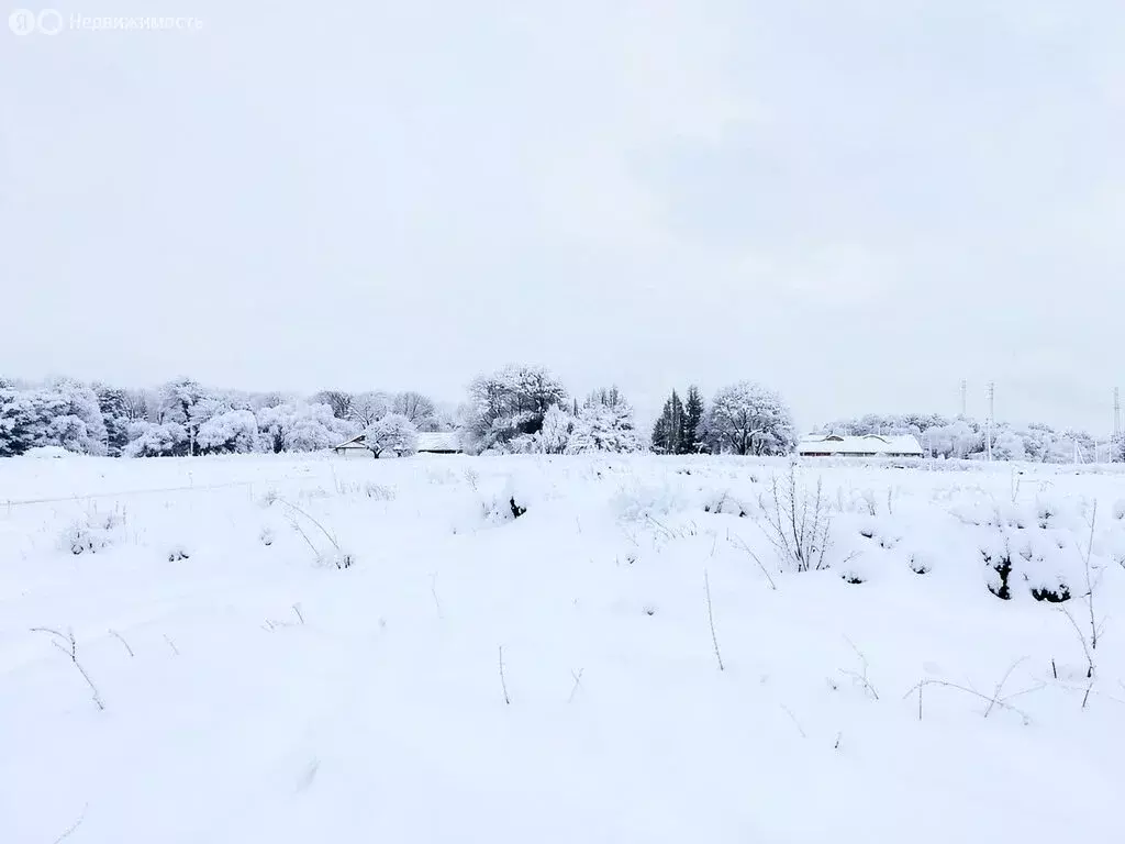 Участок в Суворовский район, сельское поселение Юго-Восточное, село ... - Фото 2