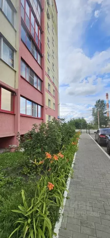 1-к кв. Челябинская область, Челябинск ул. 2-я Эльтонская, 32 (32.0 м) - Фото 0