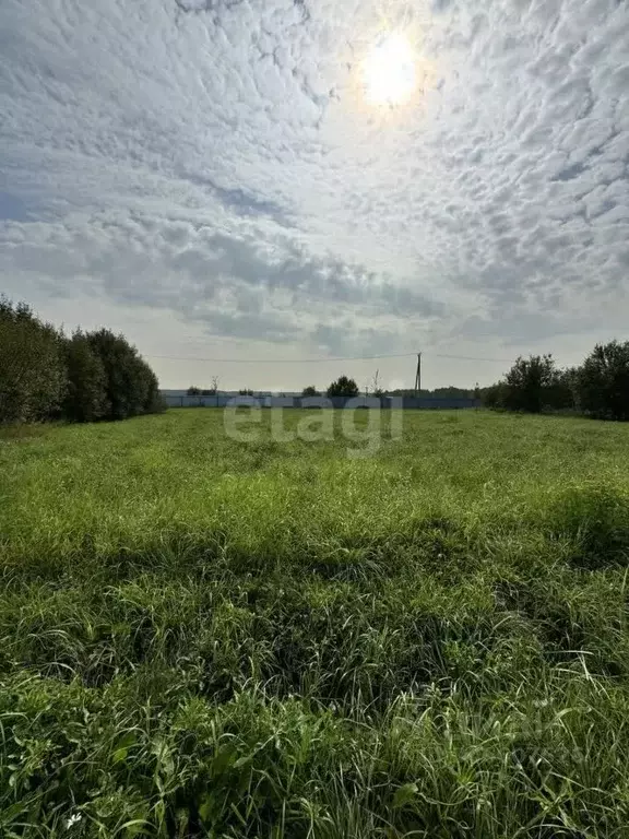 участок в московская область, подольск городской округ, лопатино снтсн . - Фото 1