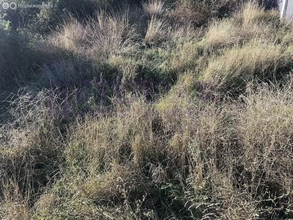 Участок в Феодосия, причал № 15 (10 м) - Фото 1