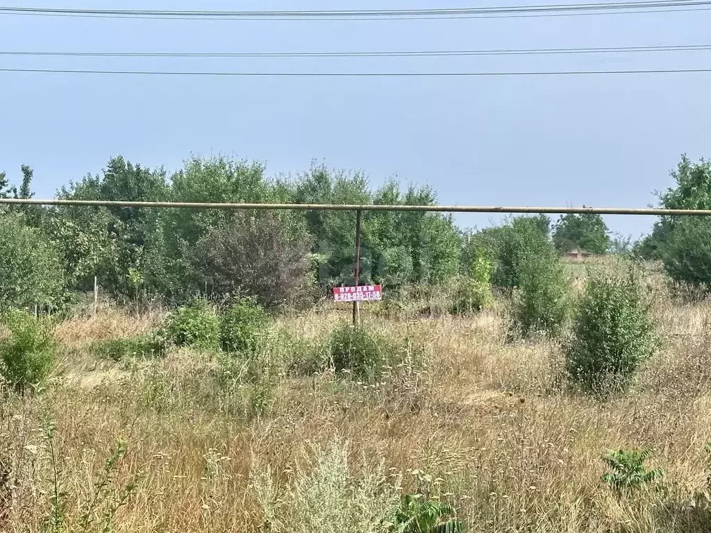 Участок в Краснодарский край, Выселковский район, Березанское с/пос, ... - Фото 1