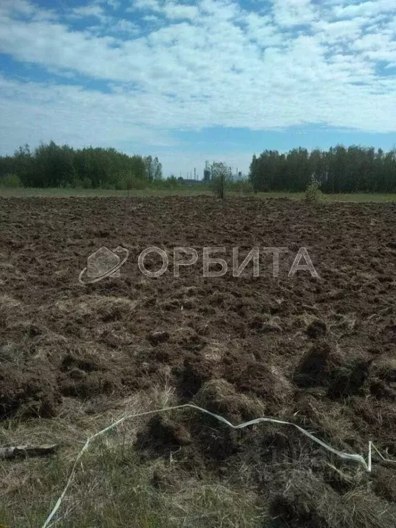 Участок в Тюменская область, Тюменский район, с. Ембаево  (13.0 сот.) - Фото 0