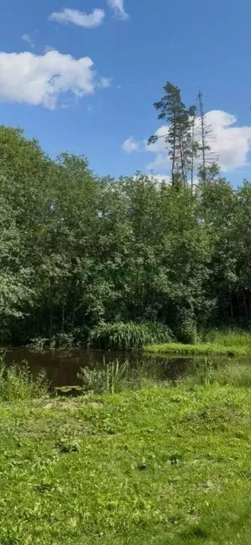 Дом в Тверская область, Селижарово пгт  (36 м) - Фото 2