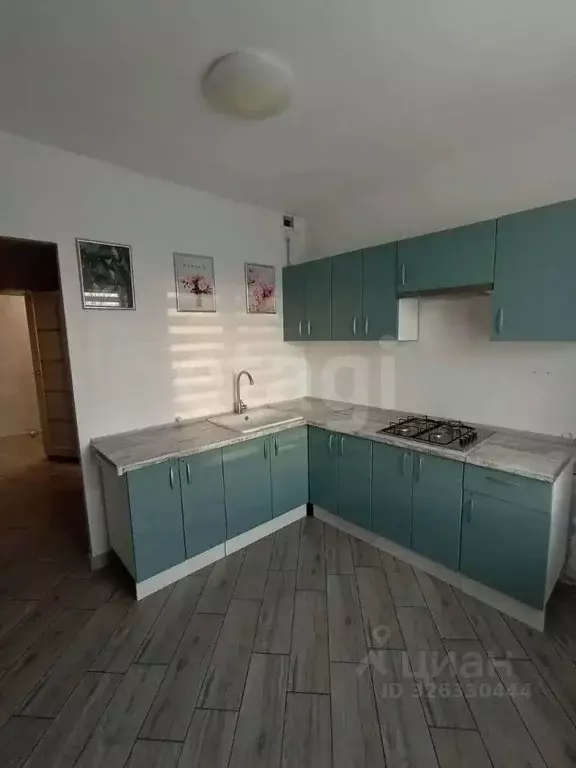 1-к кв. Воронежская область, с. Новая Усмань ул. Полевая, 51 (37.7 м) - Фото 1