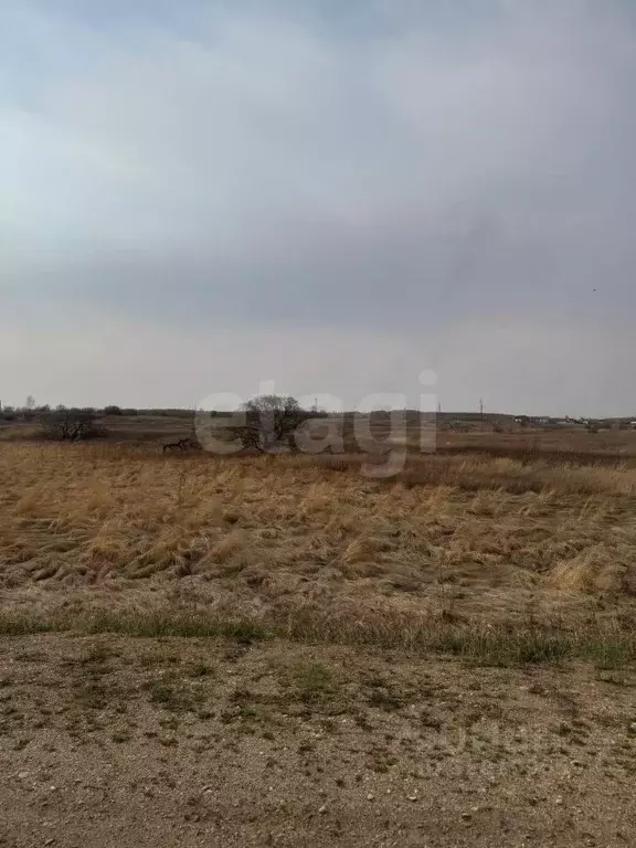 Участок в Амурская область, Благовещенский район, с. Новотроицкое  ... - Фото 1