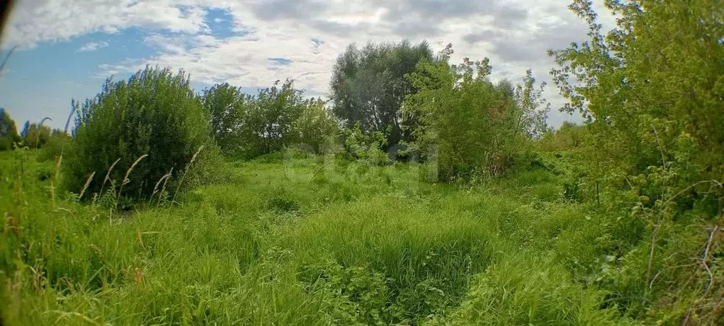 Участок в Нижегородская область, Нижний Новгород д. Кузьминка,  (12.6 ... - Фото 1