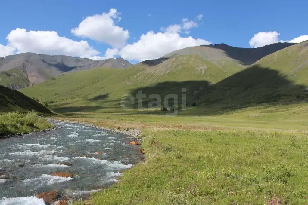 Участок в Алтай, Кош-Агачский район, Джазаторское с/пос, с. Беляши  ... - Фото 1