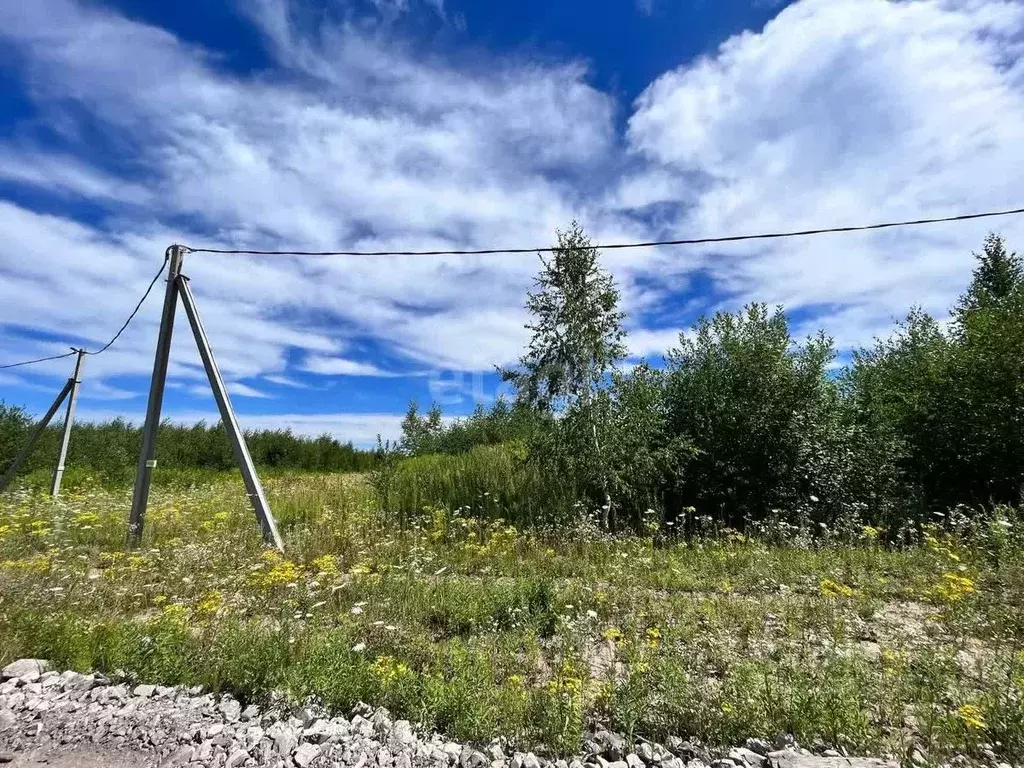 участок в нижегородская область, кстовский муниципальный округ, с. . - Фото 1