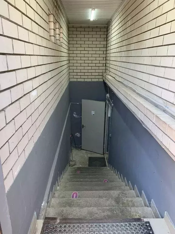 Помещение свободного назначения в Алтайский край, Барнаул тракт ... - Фото 2