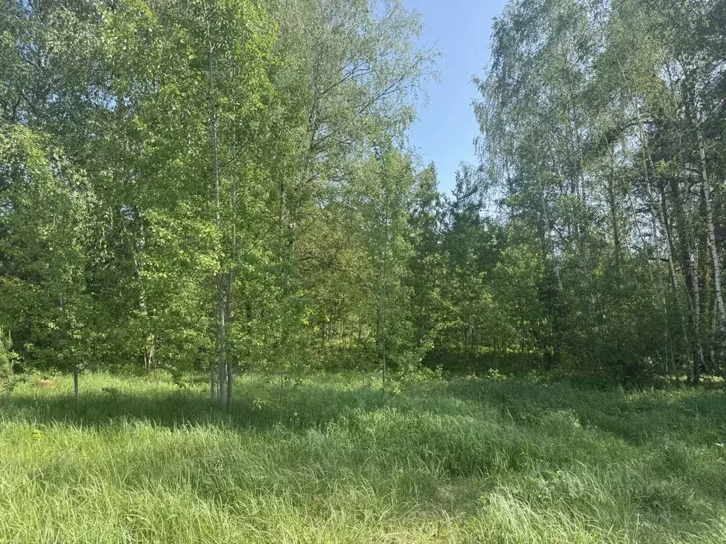 Участок в Московская область, Серпухов городской округ, д. Борисово  ... - Фото 0
