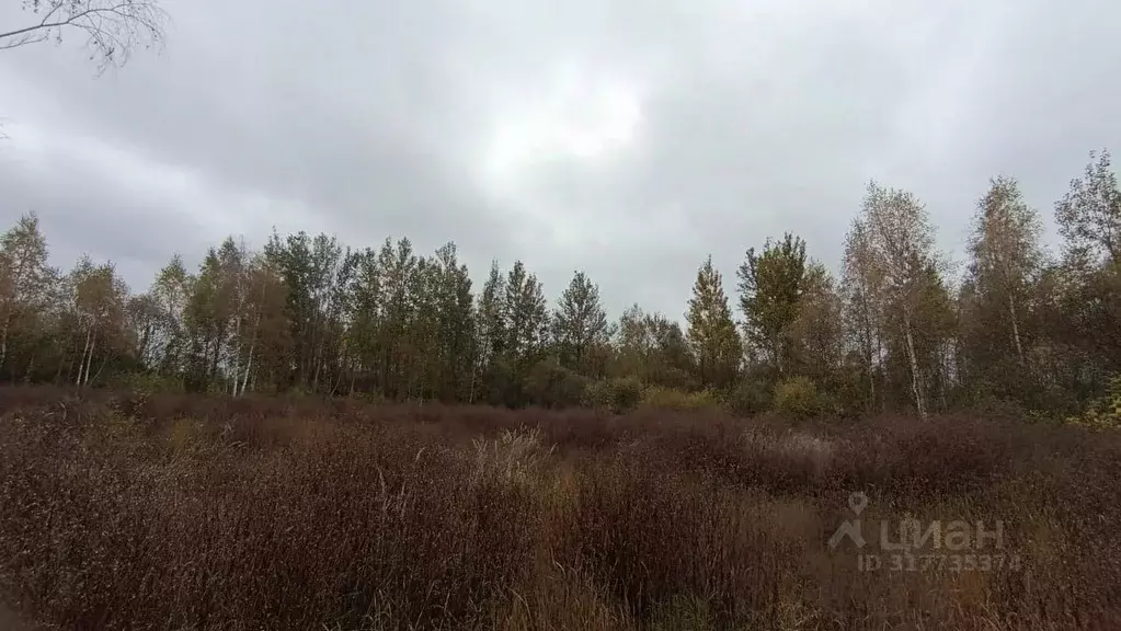 Участок в Московская область, Шатура  (6.0 сот.) - Фото 1
