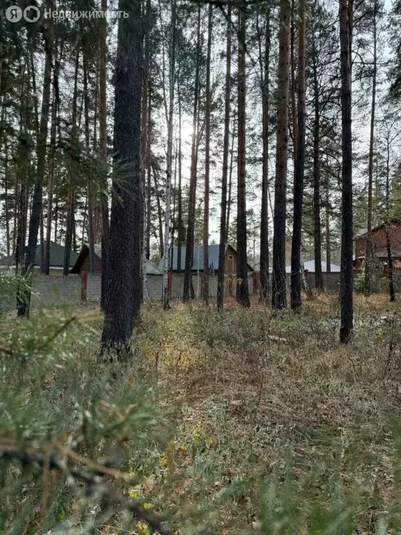 Участок в Иркутский муниципальный округ, деревня Новолисиха, Дорожная ... - Фото 2