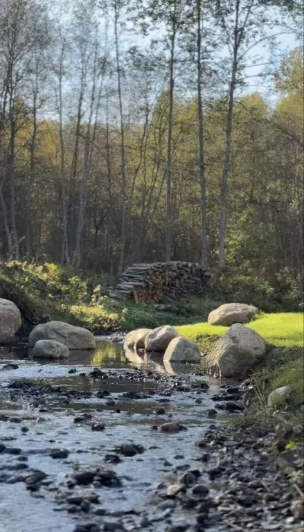 Участок в Ленинградская область, Всеволожский район, Куйвозовское ... - Фото 1