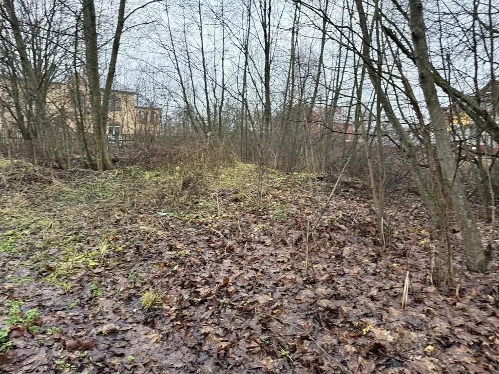 Участок в Московская область, Пушкинский городской округ, Софрино пгт  ... - Фото 2