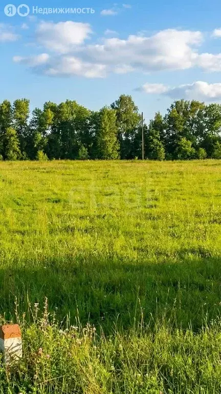 Участок в Кабанский район, село Исток (9 м) - Фото 1