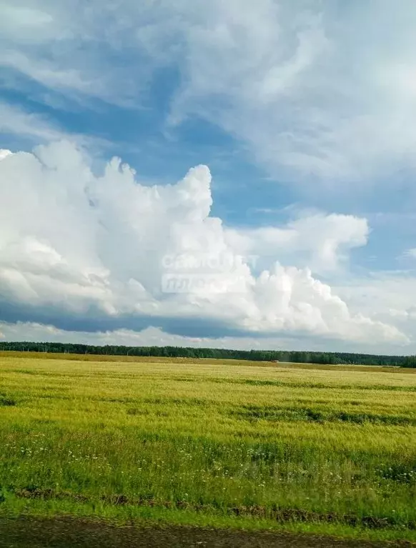 участок в тюменская область, тюменский район, д. зырянка (40.0 сот.) - Фото 0