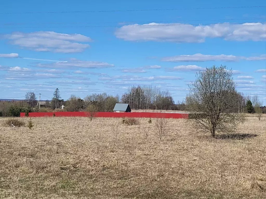 Участок в Вологодская область, д. Березник  (25.0 сот.) - Фото 1