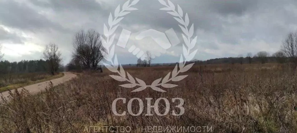 Участок в Калужская область, Мосальский муниципальный округ, Раменский ... - Фото 1