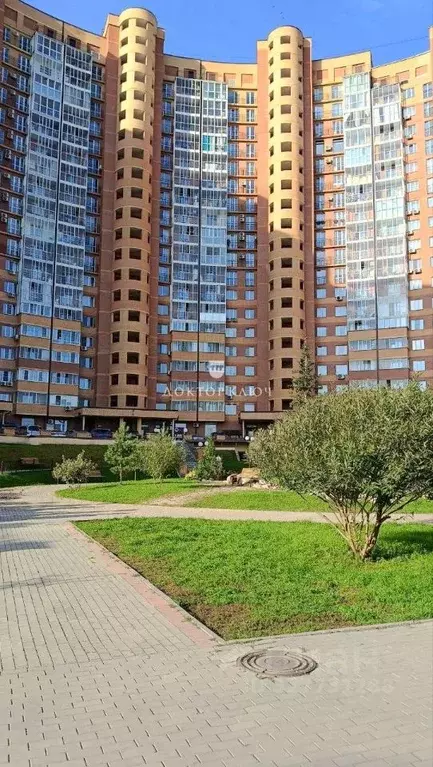 Помещение свободного назначения в Новосибирская область, Новосибирск ... - Фото 1