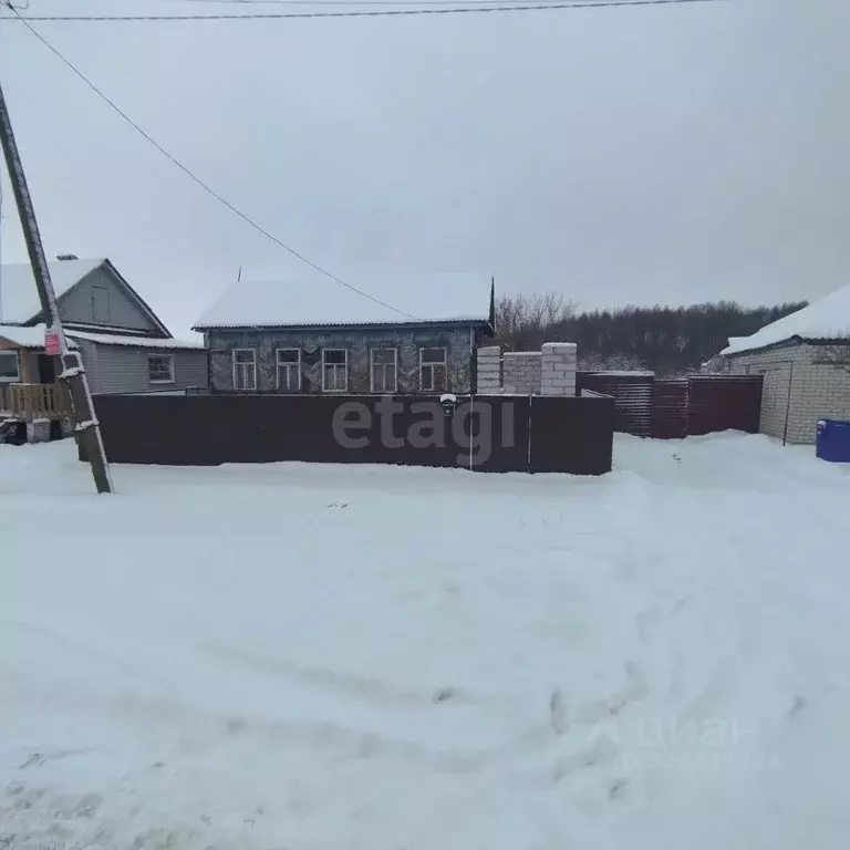 Дом в Тамбовская область, Мичуринский муниципальный округ, с. Панское ... - Фото 1