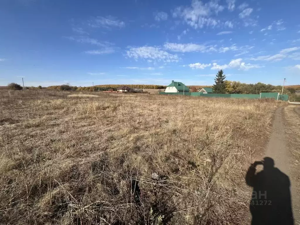 Участок в Саратовская область, Татищевский район, Вязовское ... - Фото 2