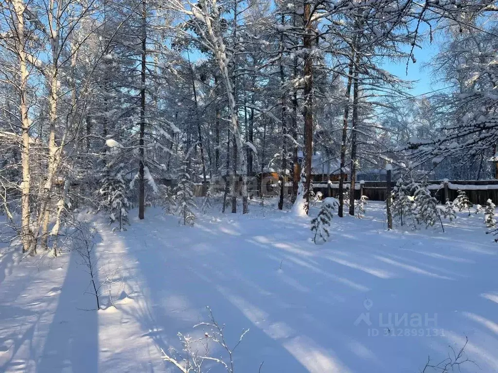 Участок в Саха (Якутия), Якутск Вилюйский тракт, 8А (6.6 сот.) - Фото 1