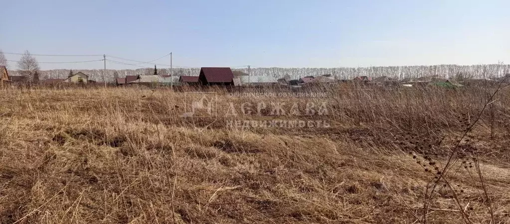 Участок в Кемеровская область, Ленинск-Кузнецкий пер. Пригородный ... - Фото 0