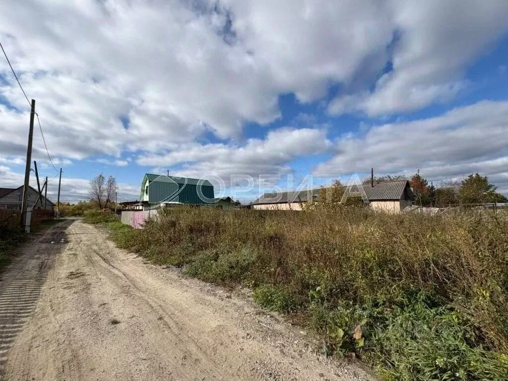 Участок в Тюменская область, Тюменский муниципальный округ, Винзили рп ... - Фото 1