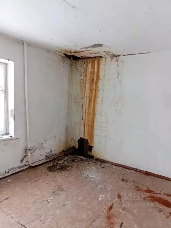 Помещение свободного назначения в Алтайский край, Зональный район, с. ... - Фото 2