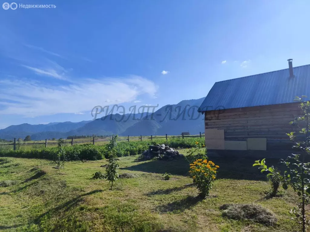 Дом в Чемальский район, село Чемал (36 м) - Фото 2