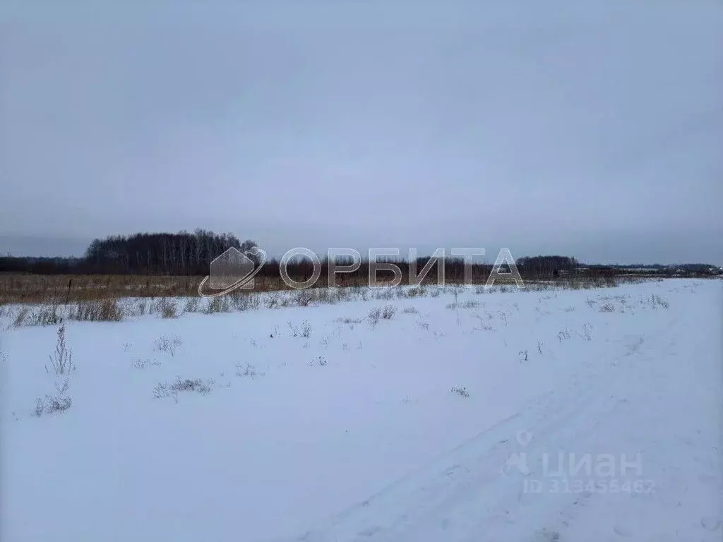 Участок в Тюменская область, Тюменский район, с. Горьковка Сибирская ... - Фото 0