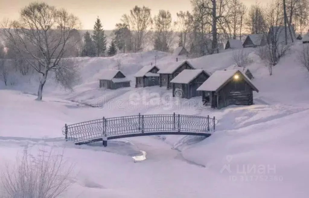 Участок в Ярославская область, Некрасовский район, Красный Профинтерн ... - Фото 1