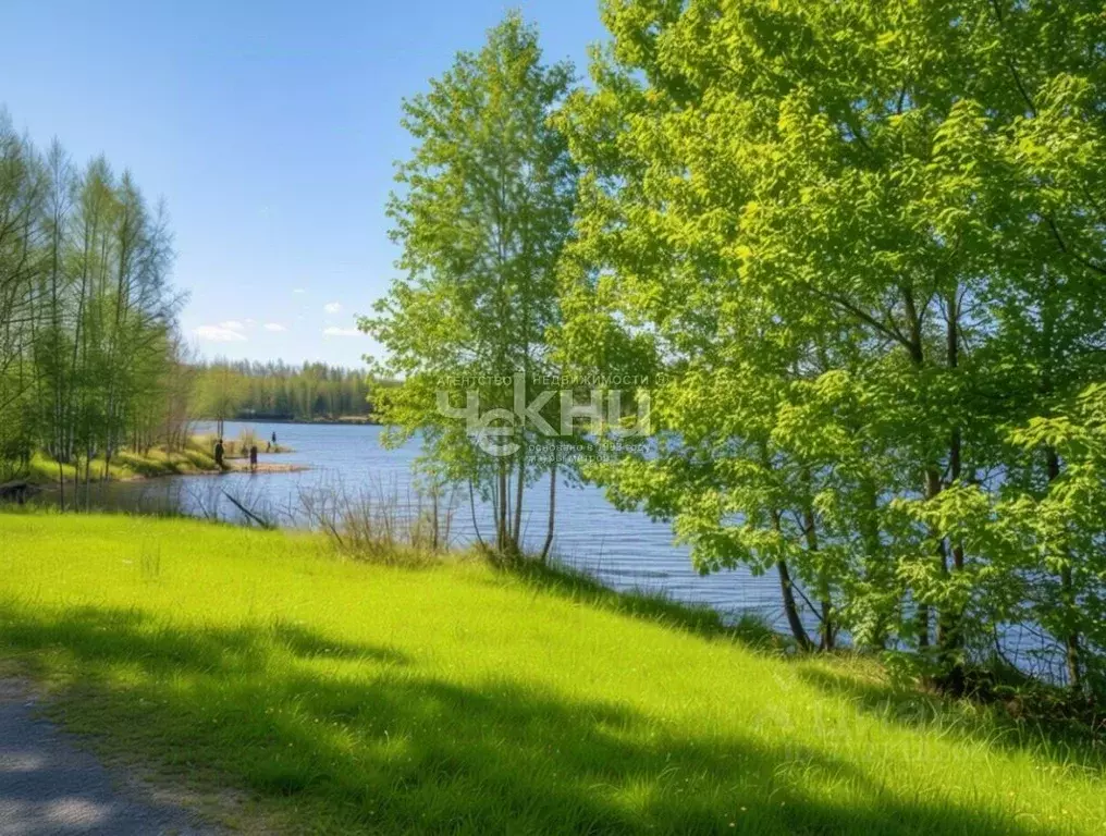 Участок в Нижегородская область, Сокольский городской округ, д. ... - Фото 1