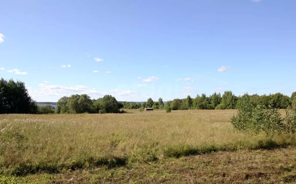 Участок в Вологодская область, Шекснинский муниципальный округ, д. ... - Фото 1