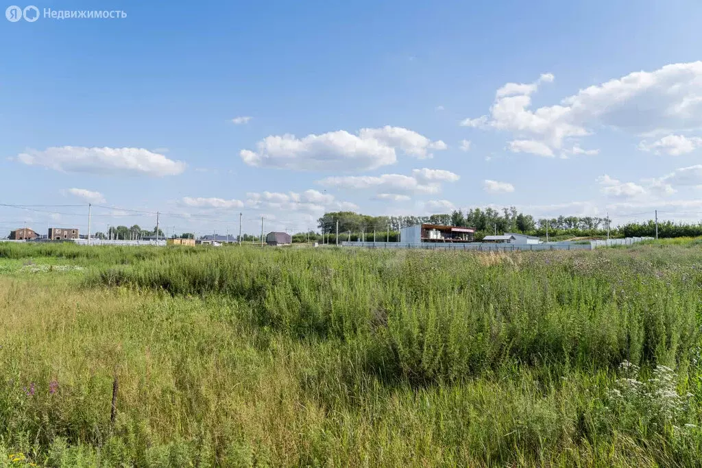 Участок в Кабаковский сельсовет, деревня Старые Киешки (8.5 м) - Фото 1