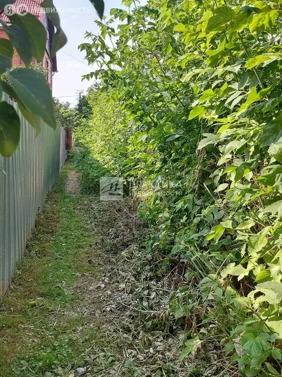Участок в Грибаново, Речная улица, 79 (7.8 м) - Фото 1