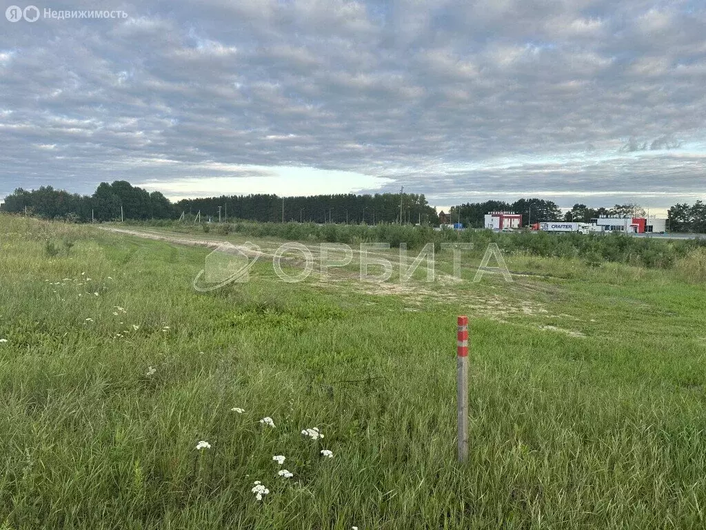 Участок в Тюменский муниципальный округ, село Борки (921 м) - Фото 1