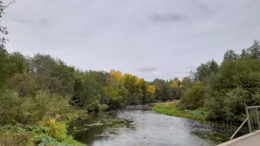 Участок в Ленинградская область, Тосненский район, Тельмановское ... - Фото 1