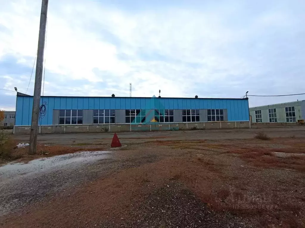Производственное помещение в Оренбургская область, Оренбург Донгузская ... - Фото 1
