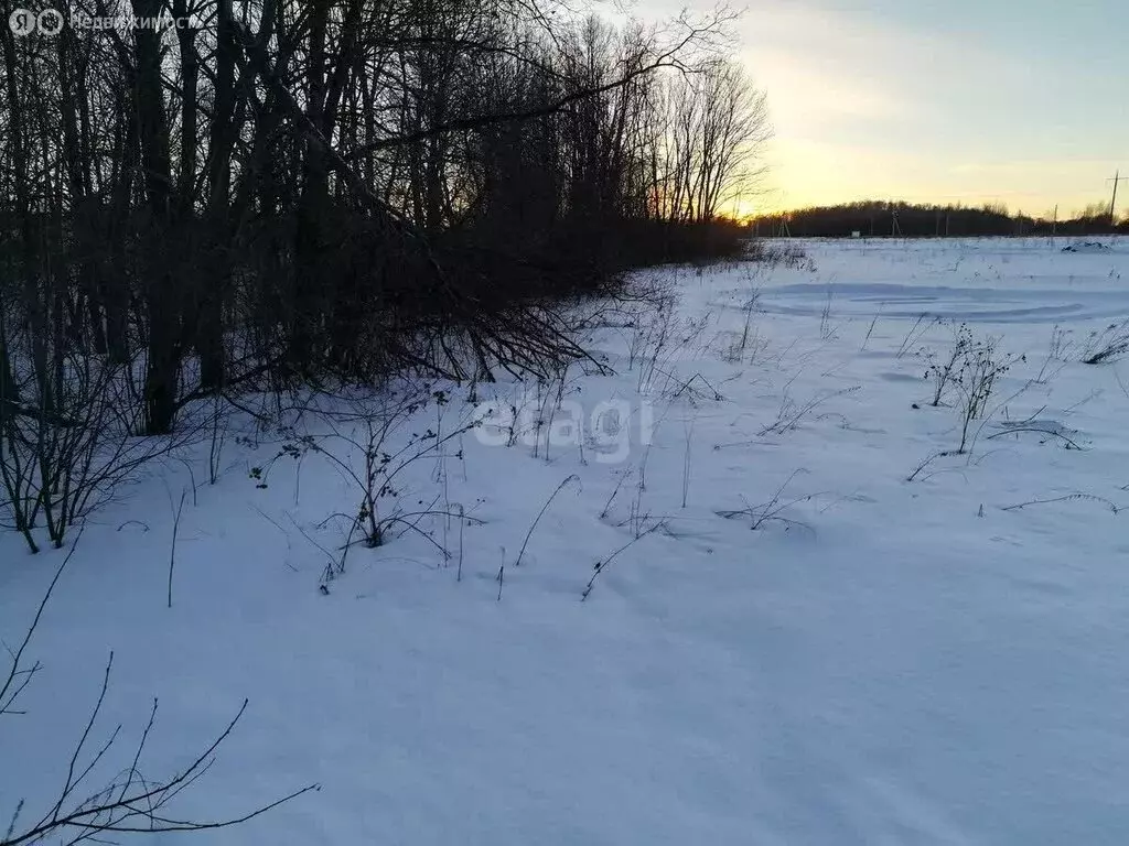 Участок в Томский район, село Коларово, Весенняя улица (8 м) - Фото 0