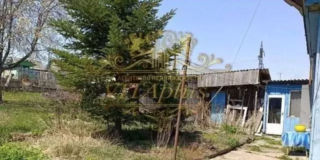 Дом в Приморский край, Артем ул. Сафронова (76 м) - Фото 0