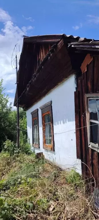 Участок в Алтай, Майминский район, с. Майма ул. Механизаторов (13.0 ... - Фото 0