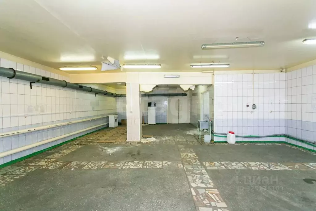 Склад в Новосибирская область, Новосибирский район, с. Толмачево ул. ... - Фото 1
