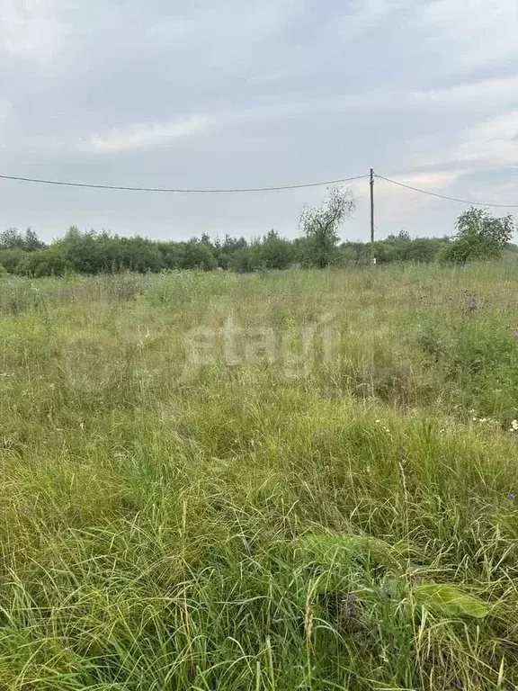 Участок 10 сот. (СНТ, ДНП) - Фото 0
